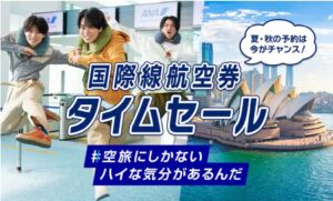 ANA国際線セール公式バナー