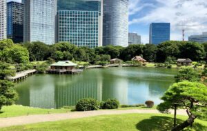 浜離宮恩賜庭園の潮入の池と背景にそびえる汐留の高層ビル群